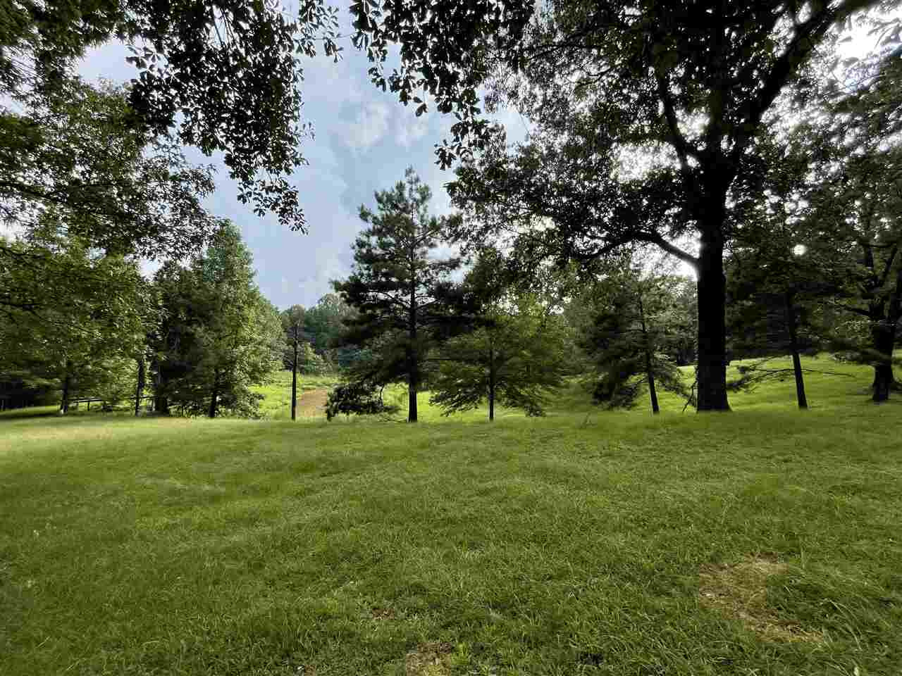 269 Deer Ridge Drive Flora, MS 39071 - Photo 20 of 41 Photo 20