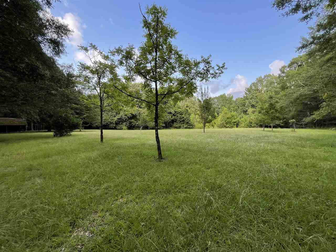 269 Deer Ridge Drive Flora, MS 39071 - Photo 23 of 41 Photo 23