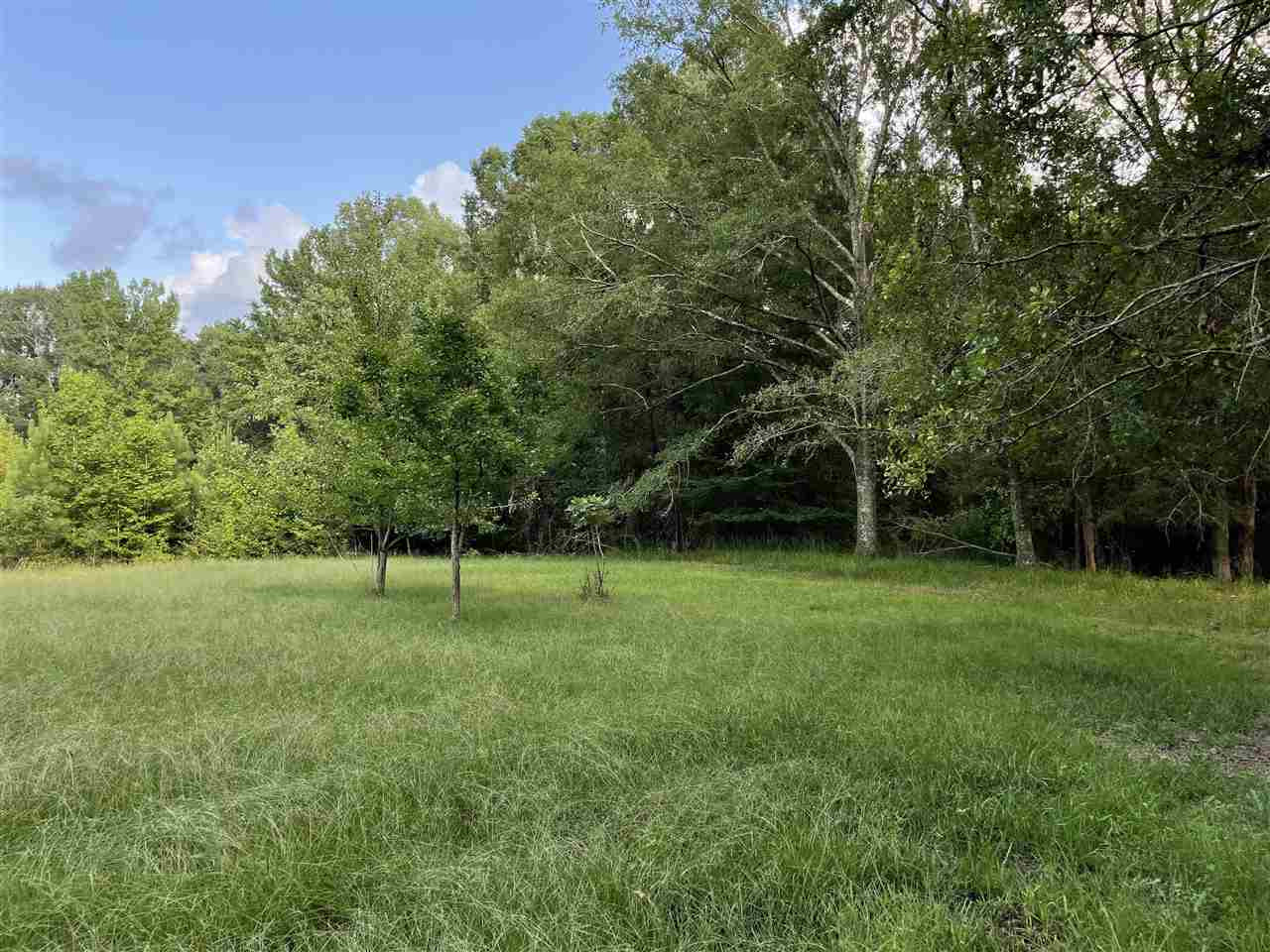 269 Deer Ridge Drive Flora, MS 39071 - Photo 24 of 41 Photo 24
