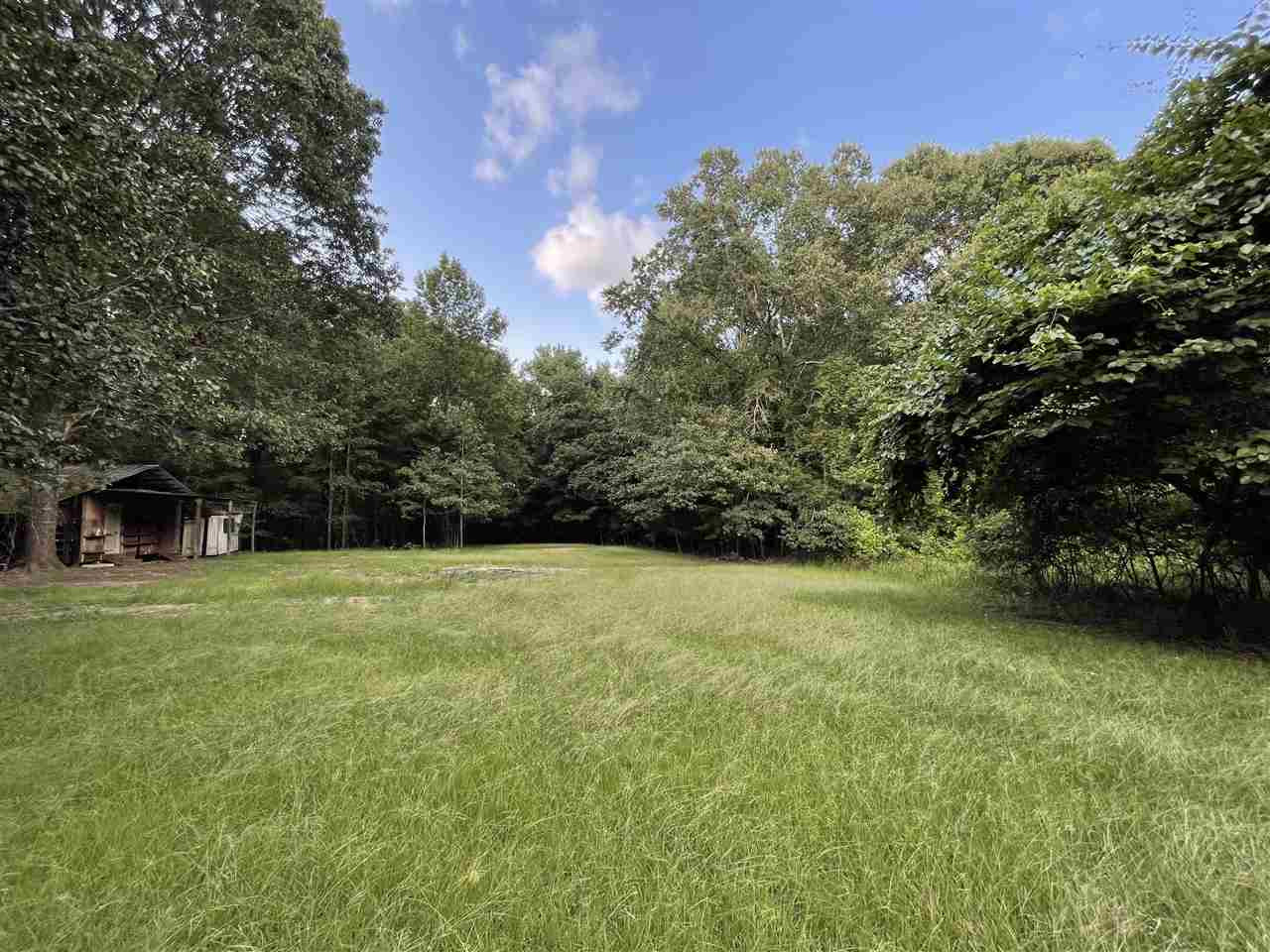 269 Deer Ridge Drive Flora, MS 39071 - Photo 4 of 41 Photo 4