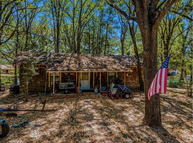 a view of a room with a large tree and a yard