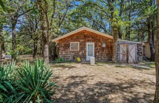 a backyard of a house with plants and large tree