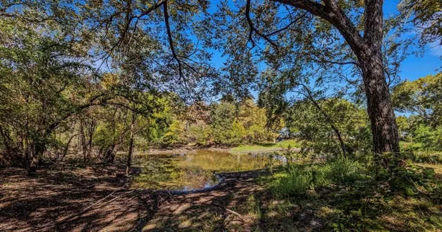 a view of a yard with large trees