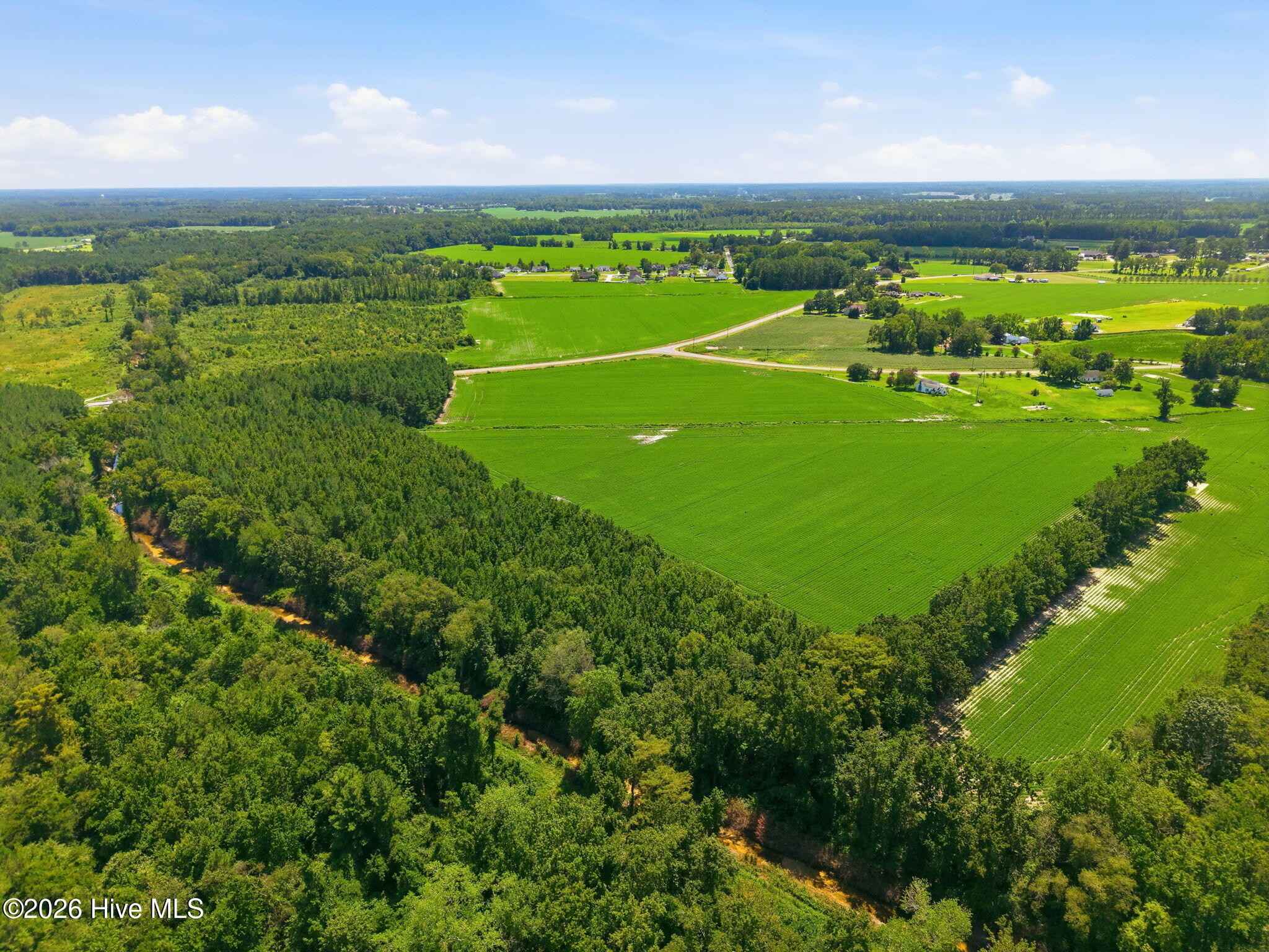 1175 Laurie Ellis Road Winterville, NC 28590 - Photo 8 of 16 Gallery Image 8