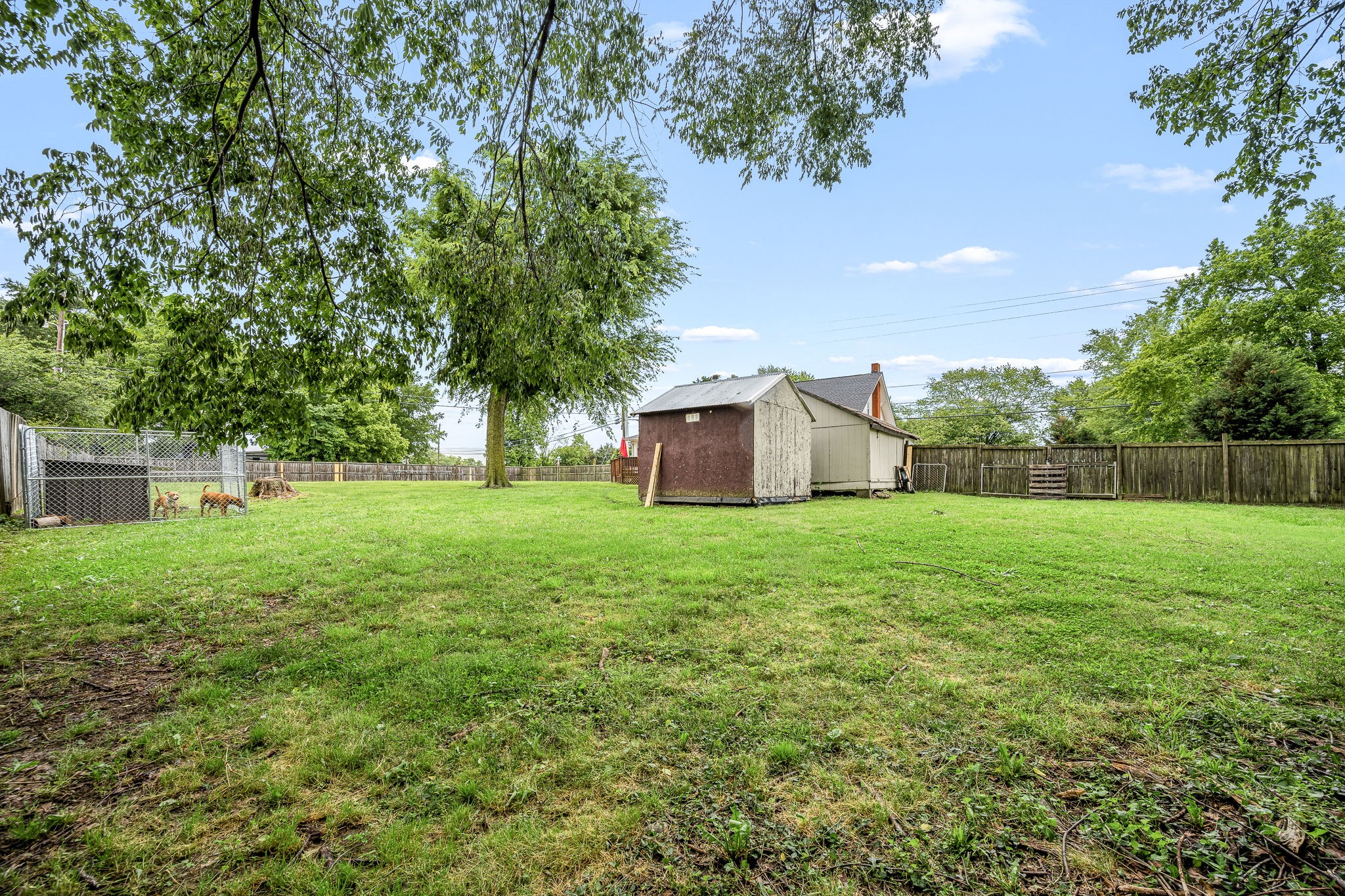 634 Highway 52 Portland, TN 37148 - Photo 36 of 42 a backyard of a house with lots of green space