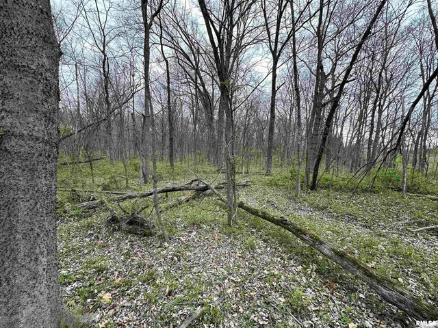 $29,500 | 0 State Highway, Unit 811N, West Frankfort, IL 62896