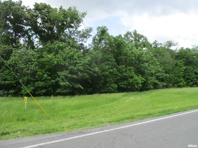 $29,500 | 0 State Highway, Unit 811N, West Frankfort, IL 62896