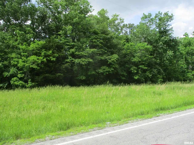 $29,500 | 0 State Highway, Unit 811N, West Frankfort, IL 62896