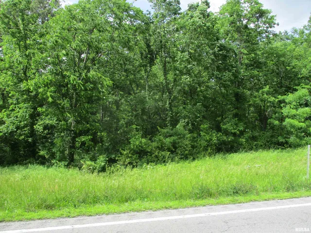 $29,500 | 0 State Highway, Unit 811N, West Frankfort, IL 62896