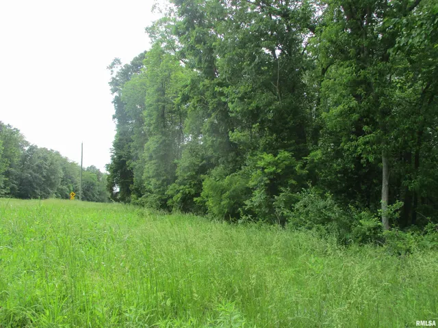 $29,500 | 0 State Highway, Unit 811N, West Frankfort, IL 62896