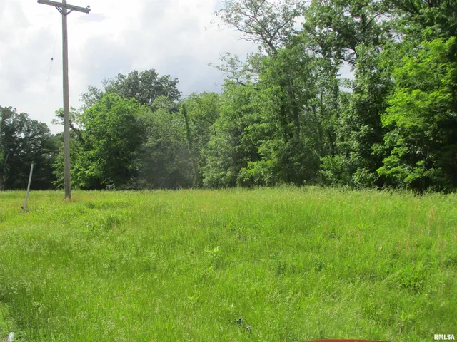 $29,500 | 0 State Highway, Unit 811N, West Frankfort, IL 62896