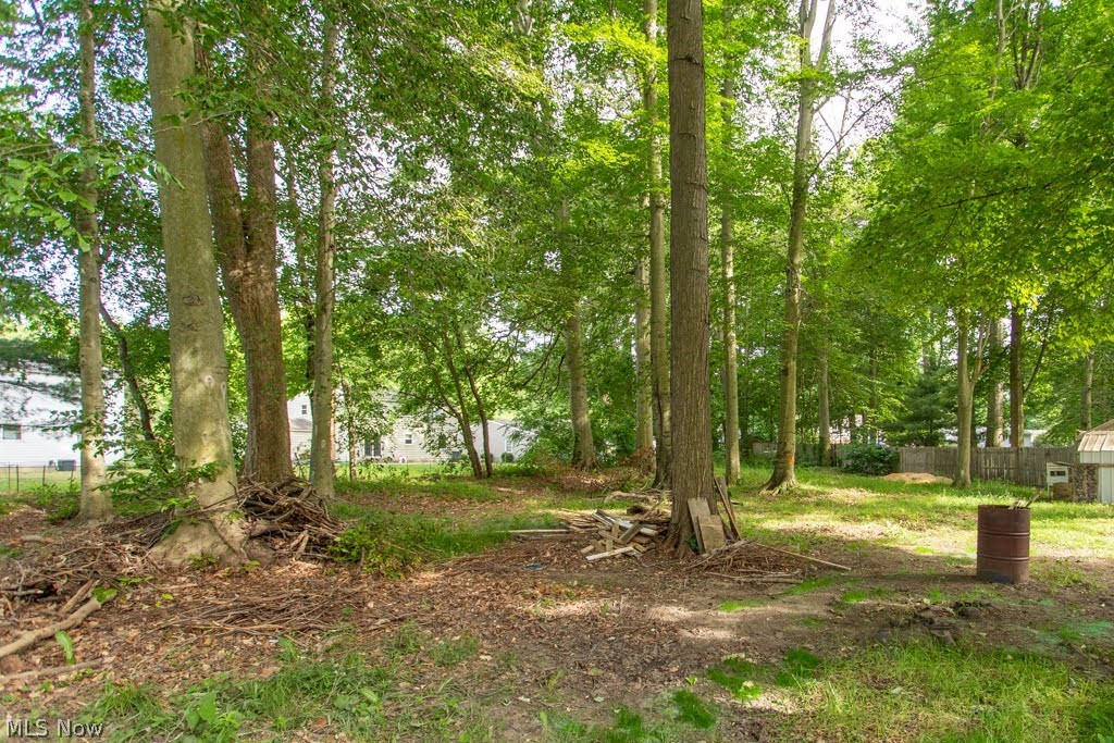 7764 Micawber Road Northeast Warren, OH 44484 - Photo 27 of 29 Back yard