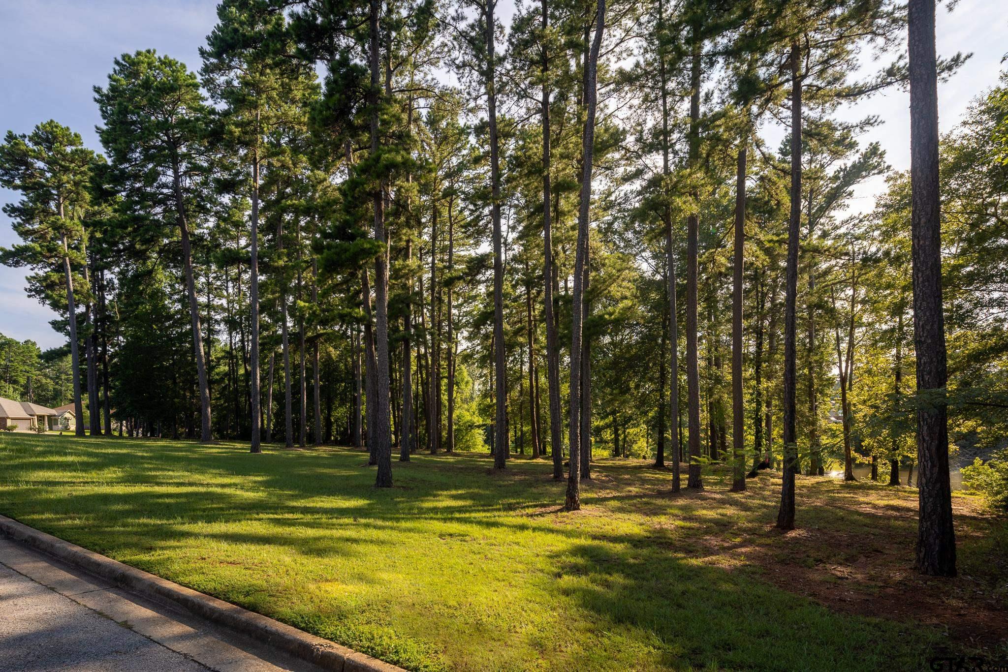 502 Happy Circle Whitehouse, TX 75791 - Photo 4 of 37