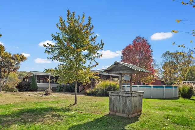 a view of a trees with a big yard