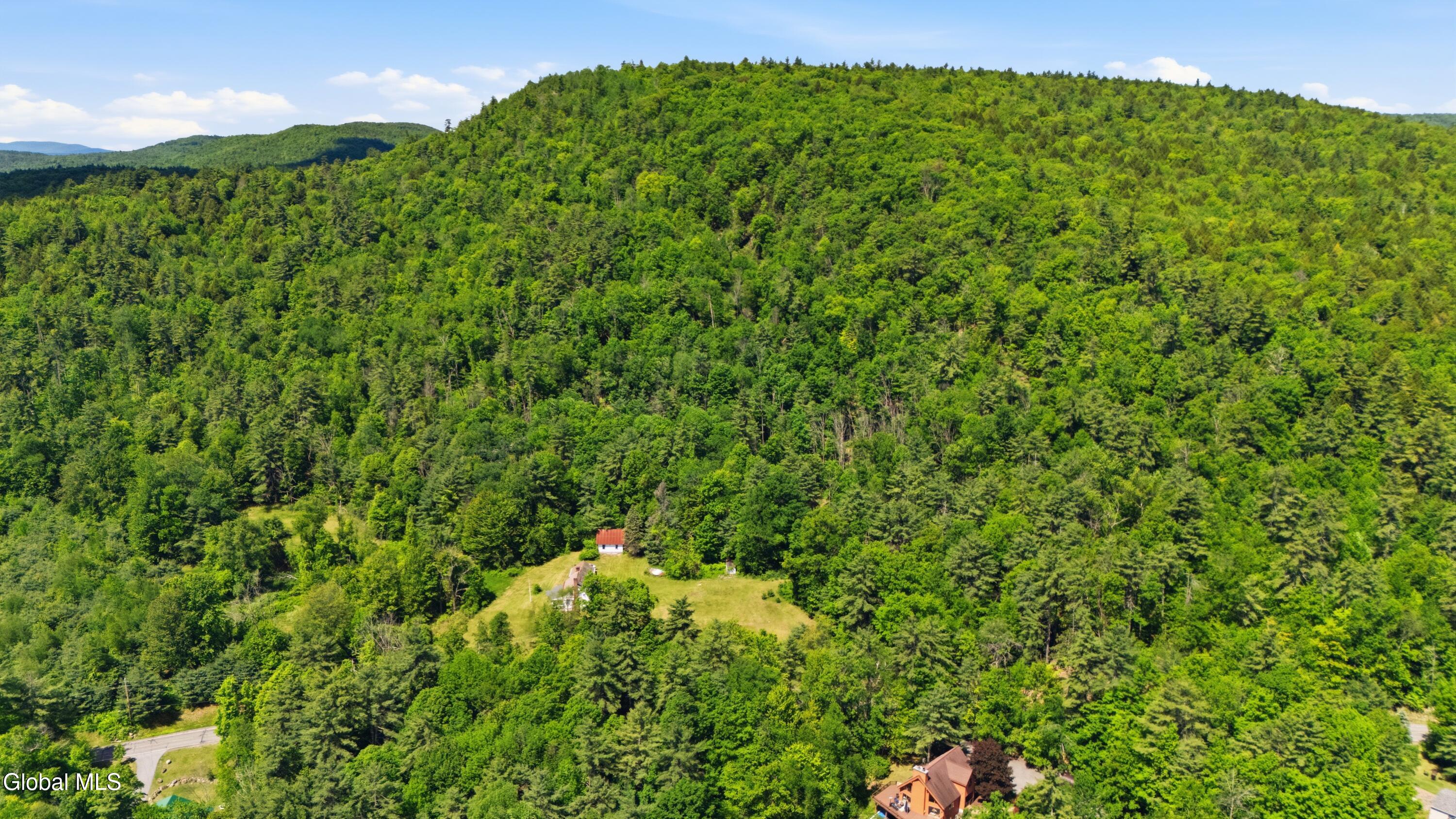 409 Potter Hill Road Bolton, NY 12814 - Photo 6 of 15 DJI_20260602111413_0044_D