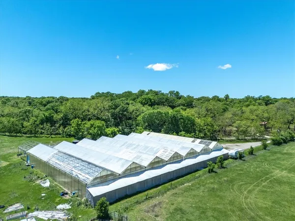 a view of a big yard with potted plants and large tree