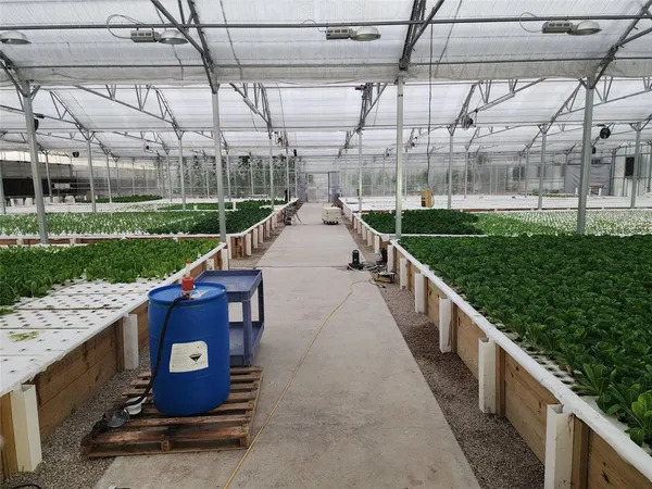 a view of a wooden deck