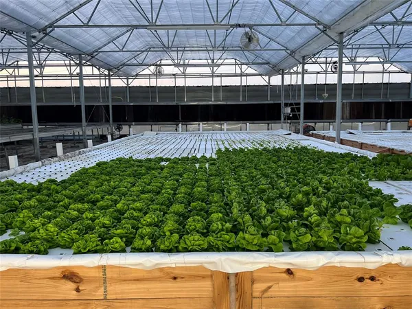 a view of a backyard with sitting area