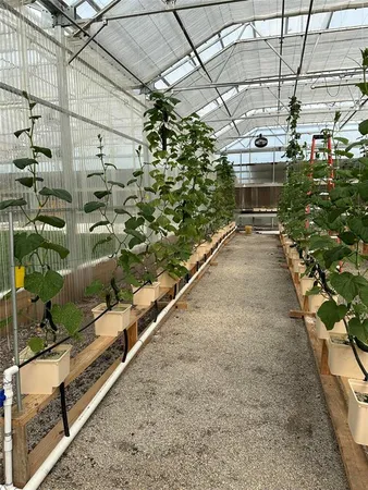 a view of a garden with an empty space