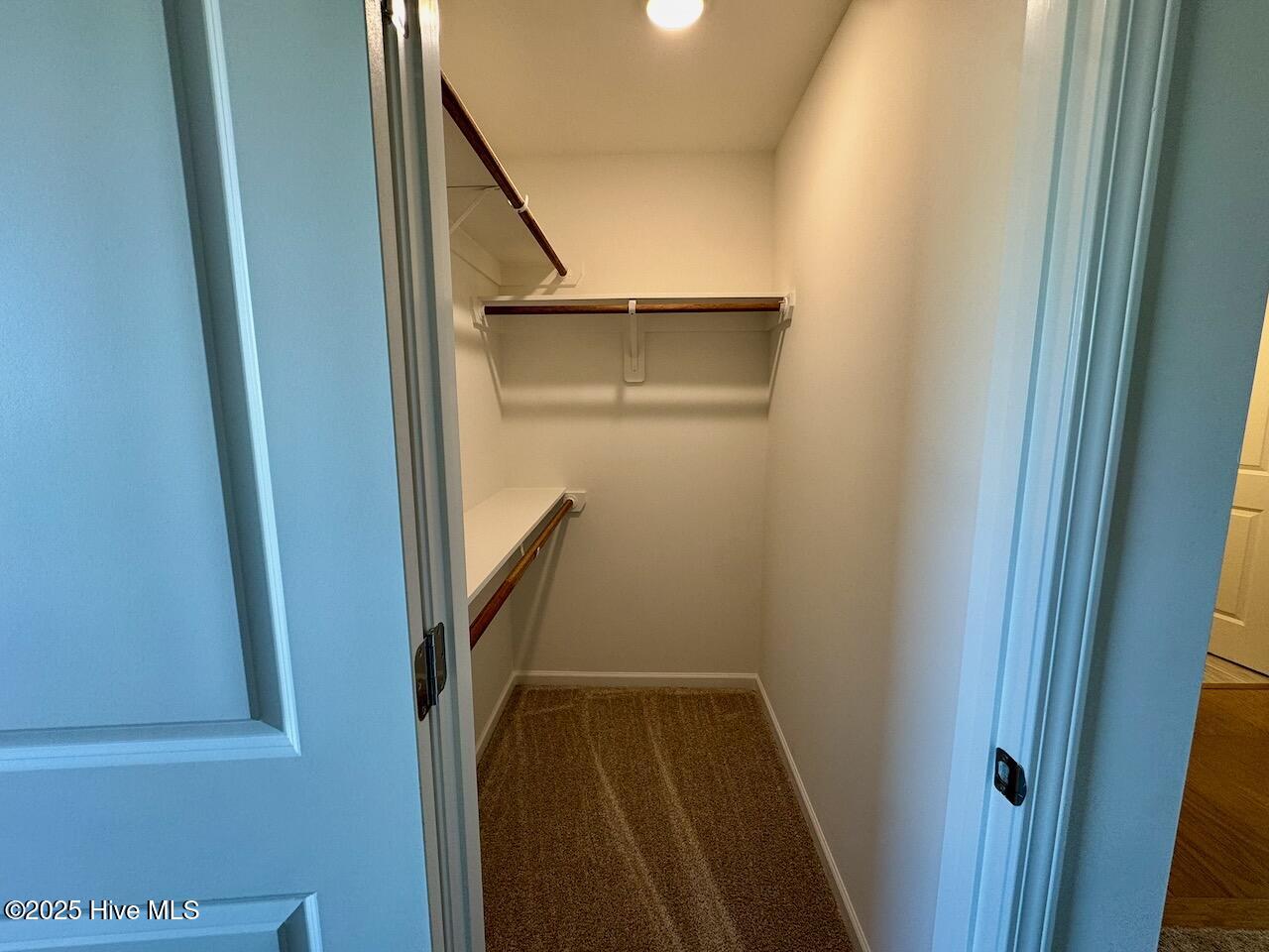 45 Covey Rise Way Lillington, NC 27546 - Photo 30 of 62 HIGHLIGHTS: Built-In Shelving and Disc Light (1 of 2).