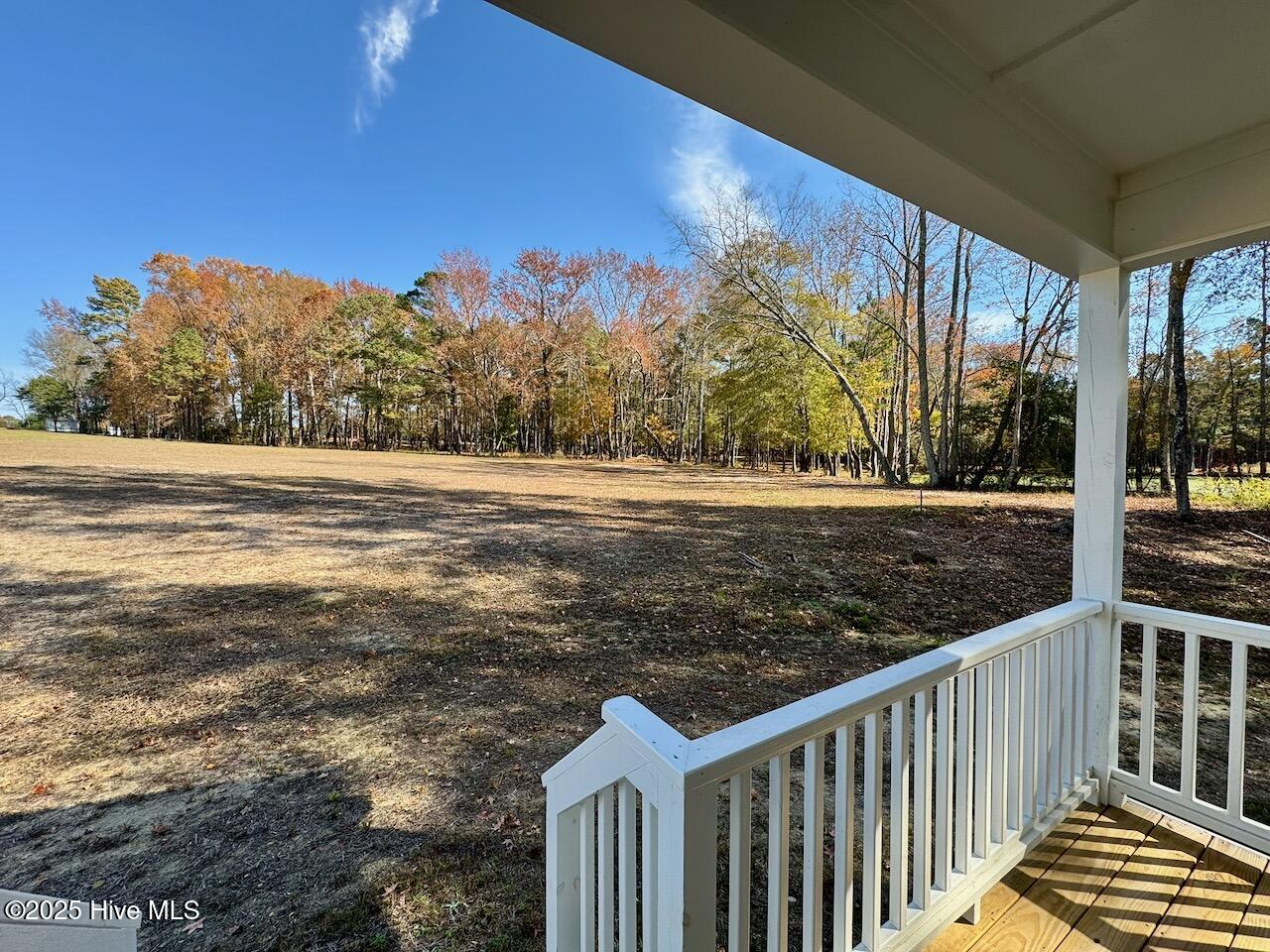 45 Covey Rise Way Lillington, NC 27546 - Photo 55 of 62 HIGHLIGHTS: 0.623 Acre Lot, Trees in the Backyard are Located in Protected Wetlands.