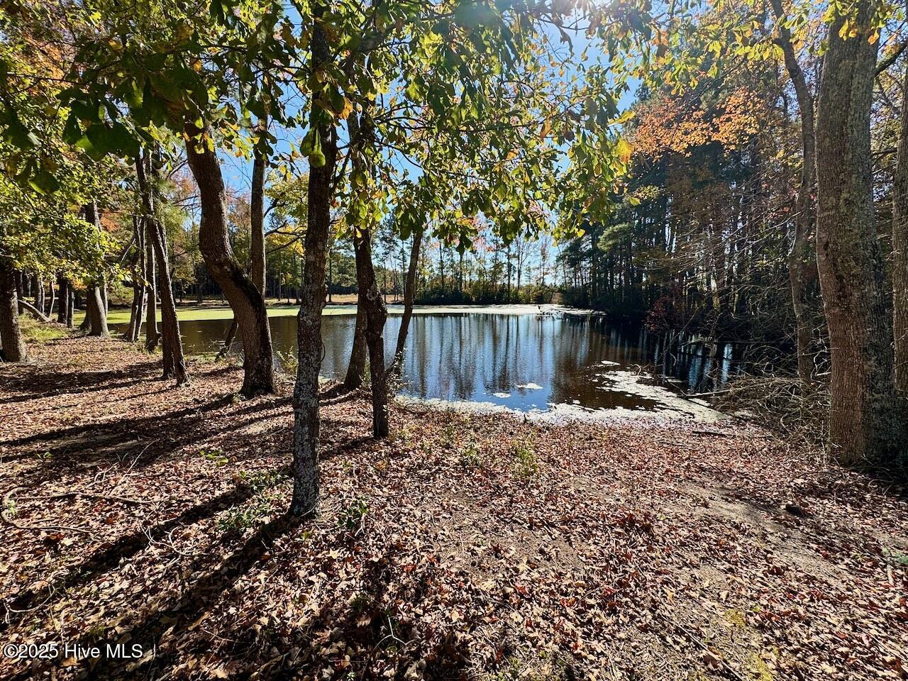 45 Covey Rise Way Lillington, NC 27546 - Photo 60 of 62 On Griffon Pointe Property.