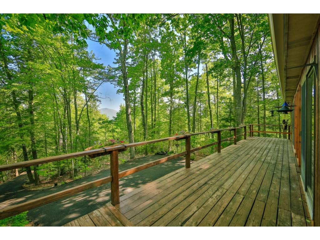100 Dameron Ridge Road Erwin, TN 37650 - Photo 26 of 36 Photo 26