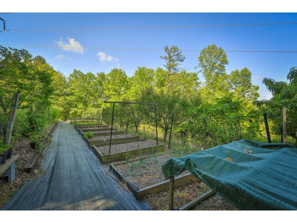 100 Dameron Ridge Road Erwin, TN 37650 - Photo 28 of 36 Photo 28