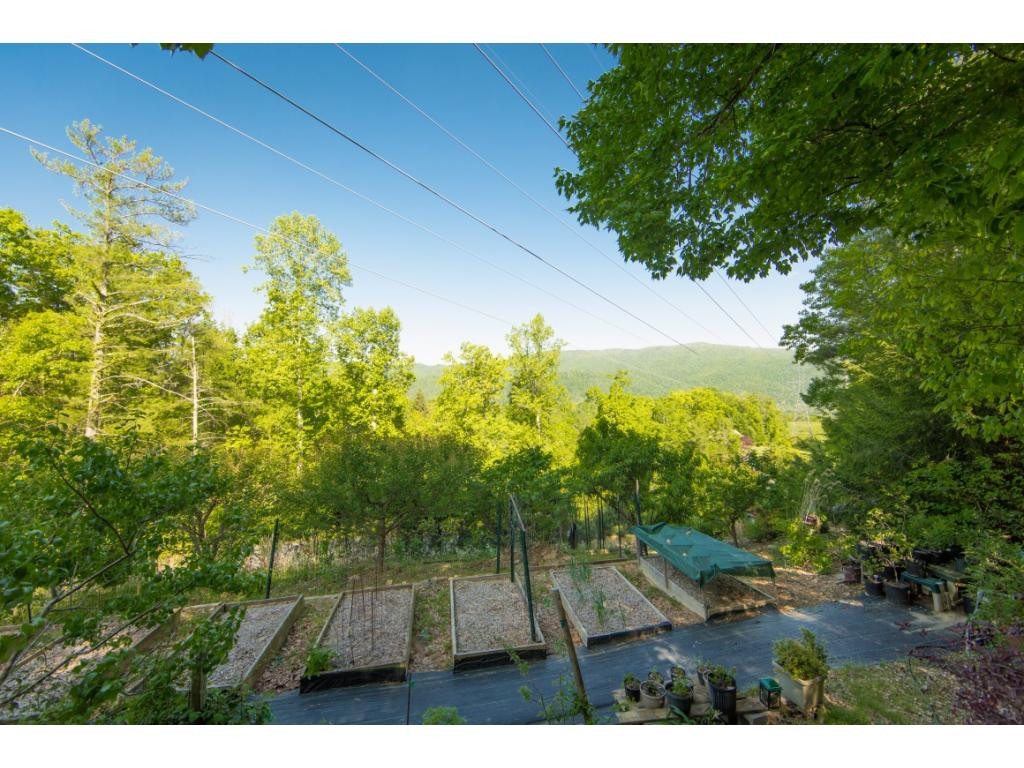 100 Dameron Ridge Road Erwin, TN 37650 - Photo 30 of 36 Photo 30