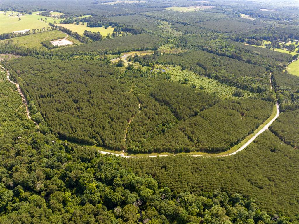 0 Ferguson Road Coushatta, LA 71019 - Photo 9 of 13