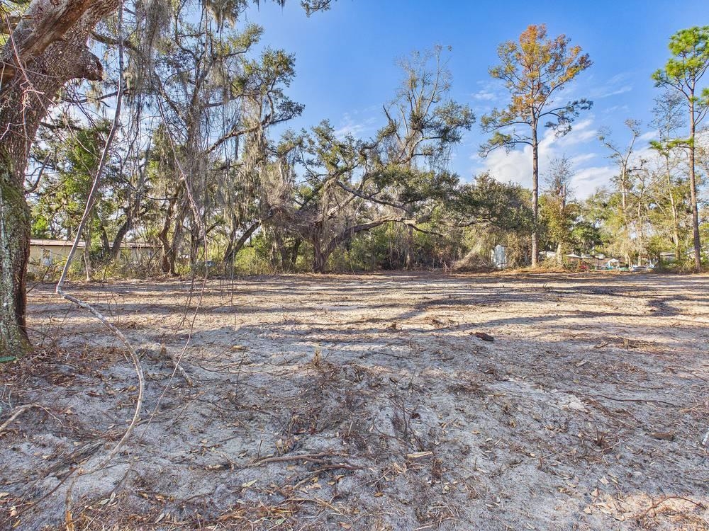 Tbd Shady Oaks Lane Perry, FL 32348 - Photo 11 of 15