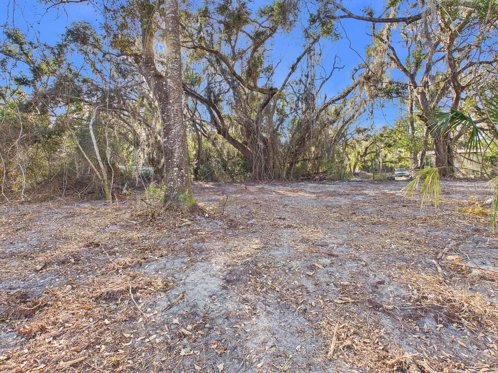 Tbd Shady Oaks Lane Perry, FL 32348 - Photo 12 of 15