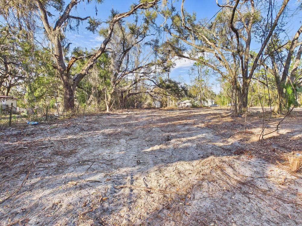 Tbd Shady Oaks Lane Perry, FL 32348 - Photo 13 of 15