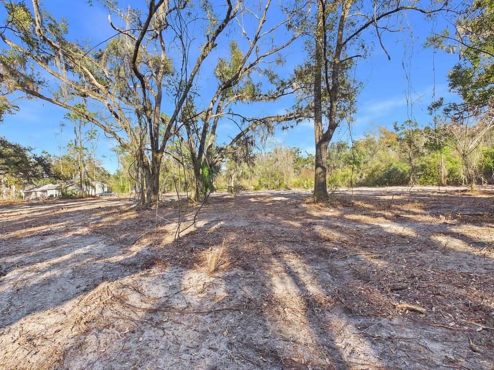 Tbd Shady Oaks Lane Perry, FL 32348 - Photo 3 of 15