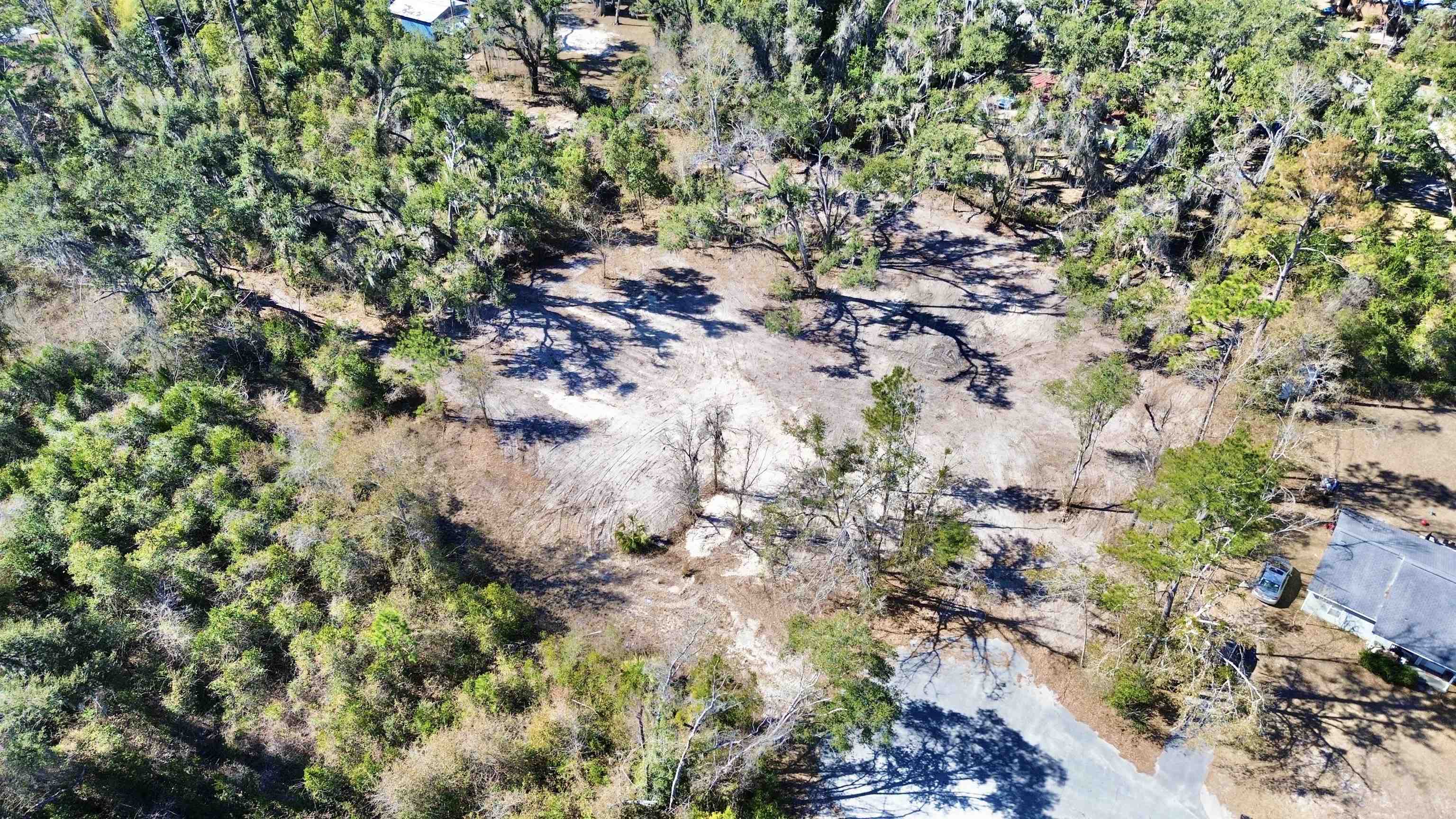 Tbd Shady Oaks Lane Perry, FL 32348 - Photo 6 of 15