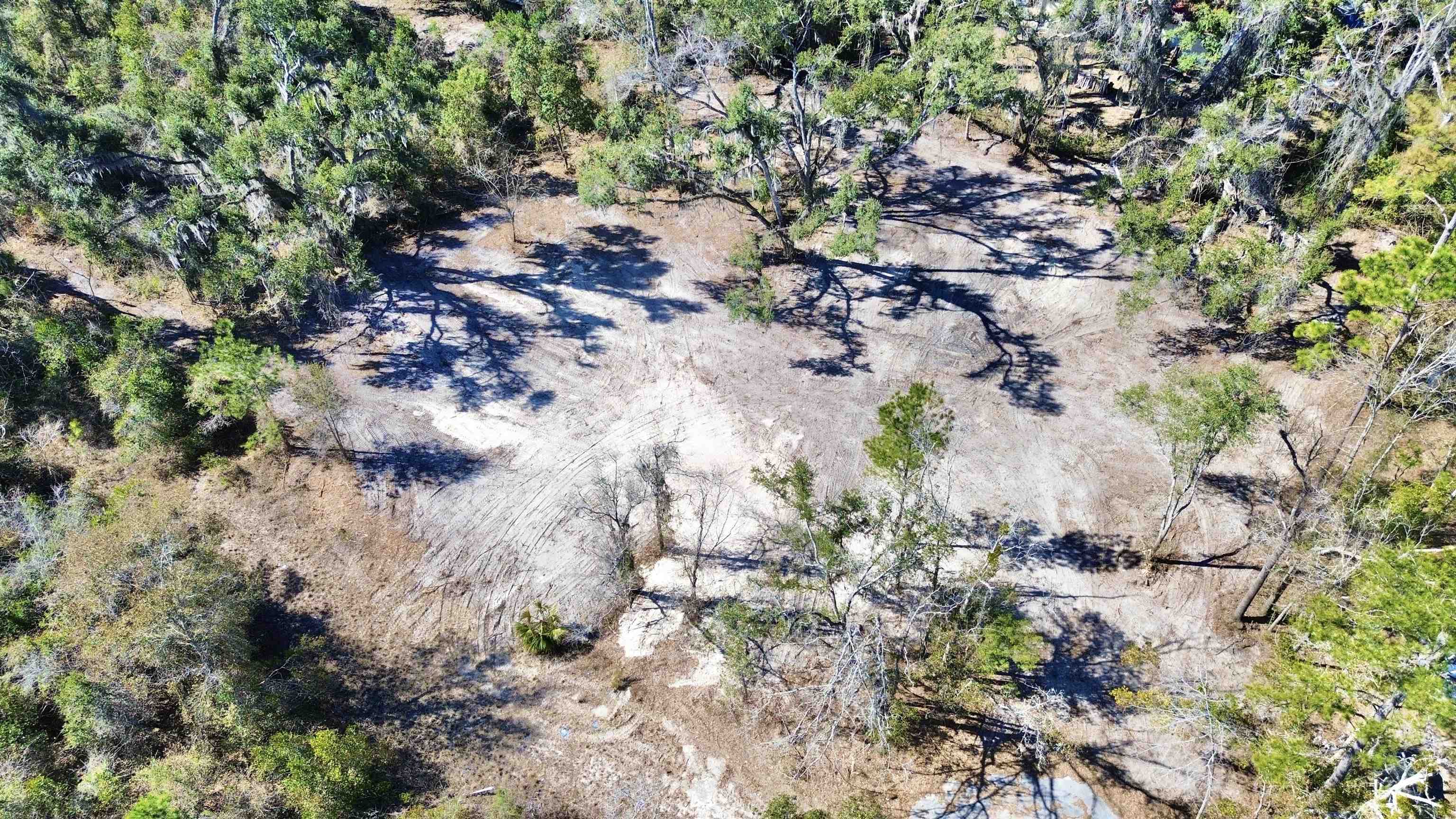 Tbd Shady Oaks Lane Perry, FL 32348 - Photo 7 of 15