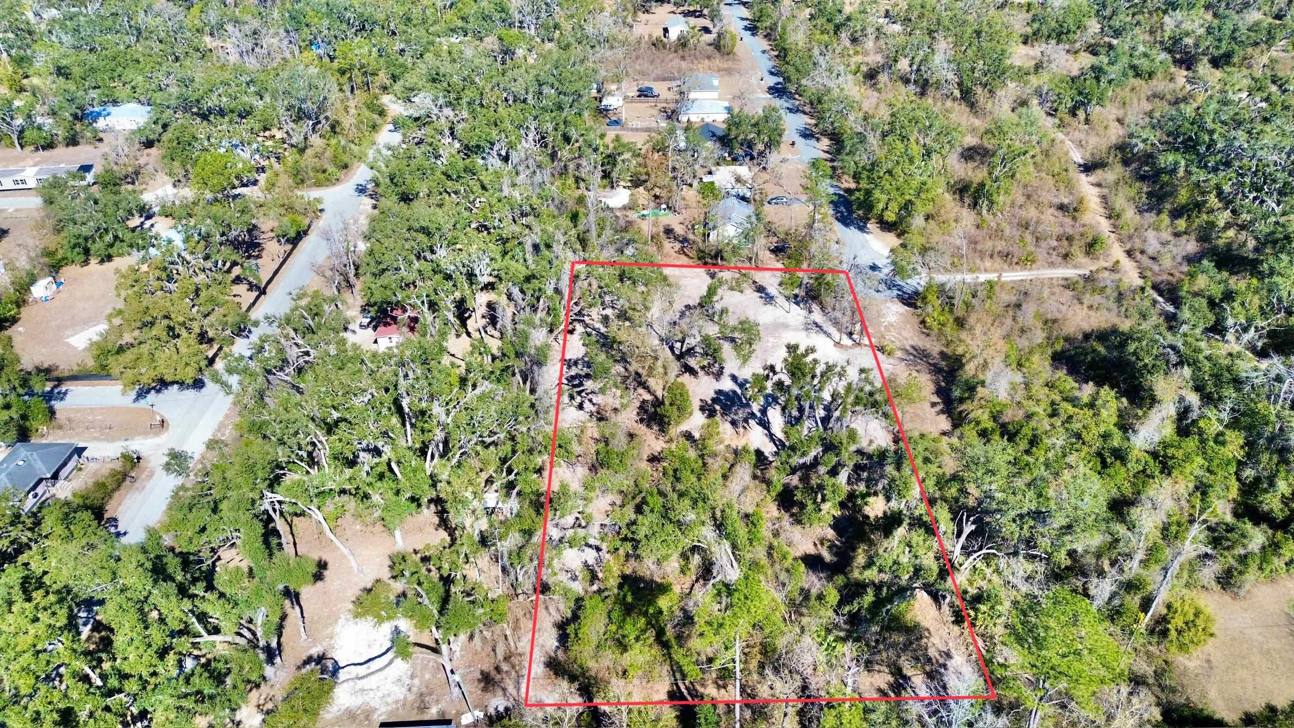 Tbd Shady Oaks Lane Perry, FL 32348 - Photo 8 of 15