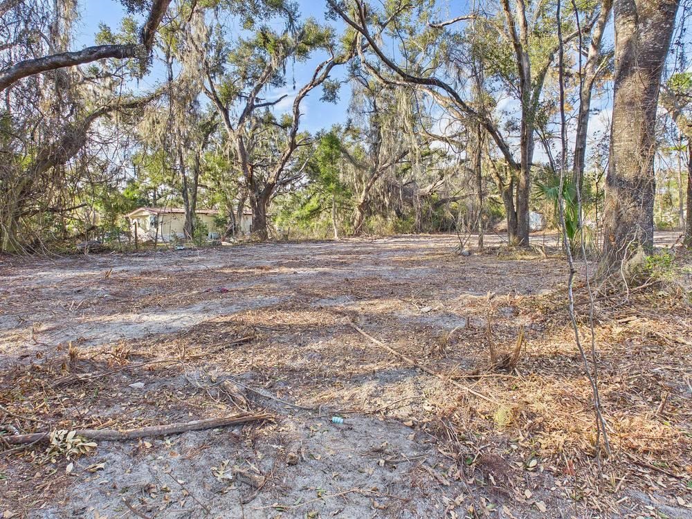 Tbd Shady Oaks Lane Perry, FL 32348 - Photo 9 of 15