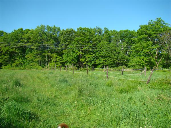 180 Vining Hill Road Southwick, MA 01077 - Photo 8 of 30 Gallery Image 8