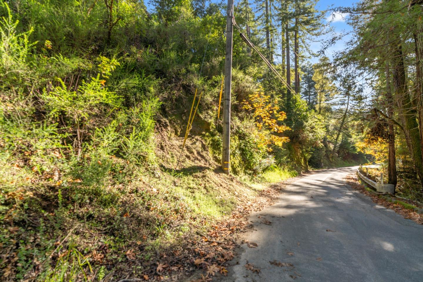 a view of a yard with a tree