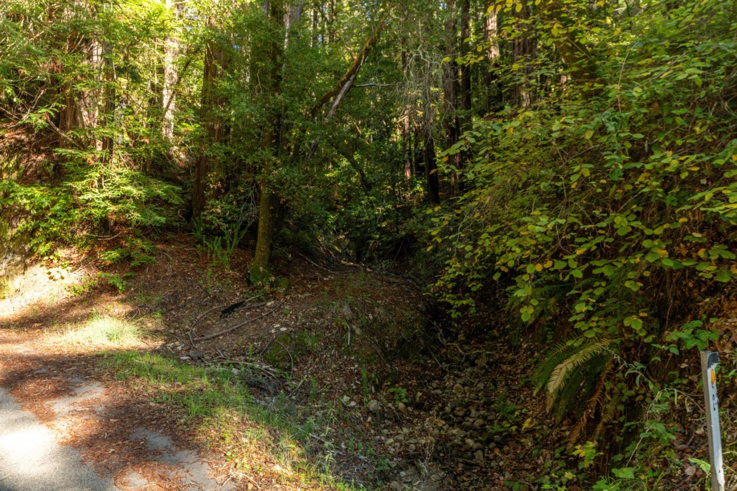 1 Lompico Road Felton, CA 95018 - Photo 2 of 6 a view of a forest with lots of trees
