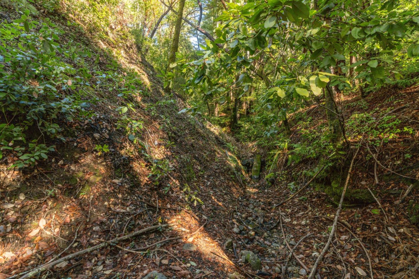 1 Lompico Road Felton, CA 95018 - Photo 3 of 6 a view of a tree