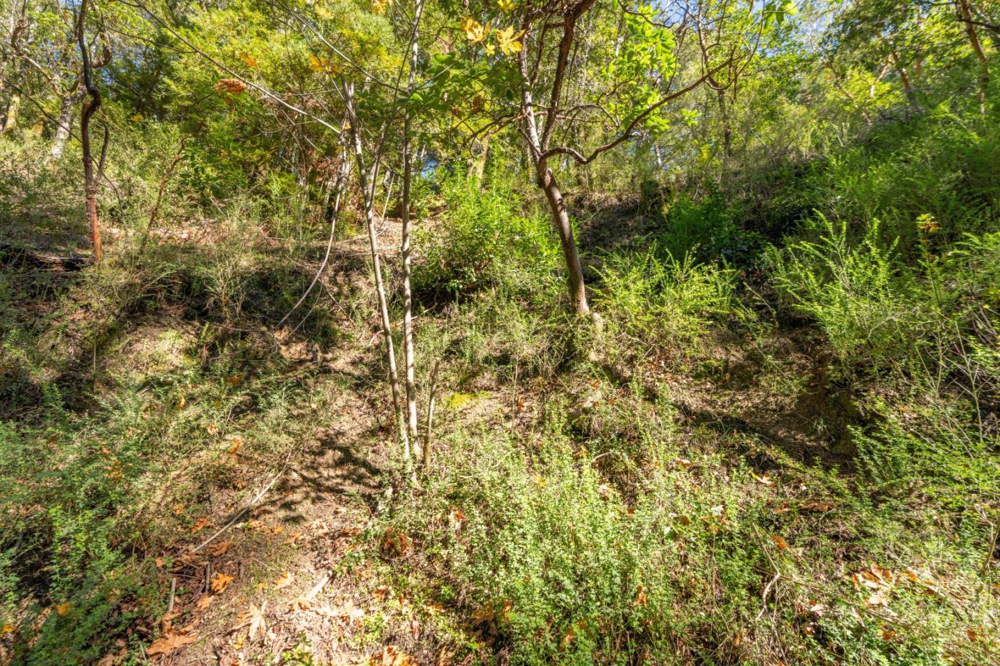 1 Lompico Road Felton, CA 95018 - Photo 6 of 6 a view of a yard