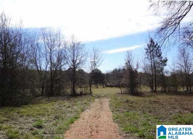 1264 Delta Street Bessemer, AL 35020 - Photo 1 of 1