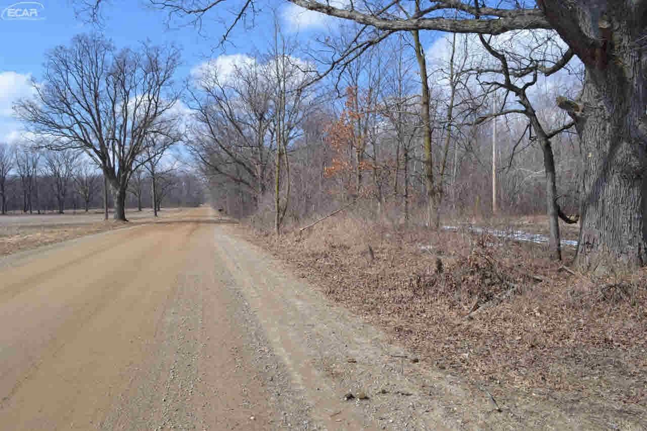 0 Lahring Road Byron, MI 48418 - Photo 2 of 11