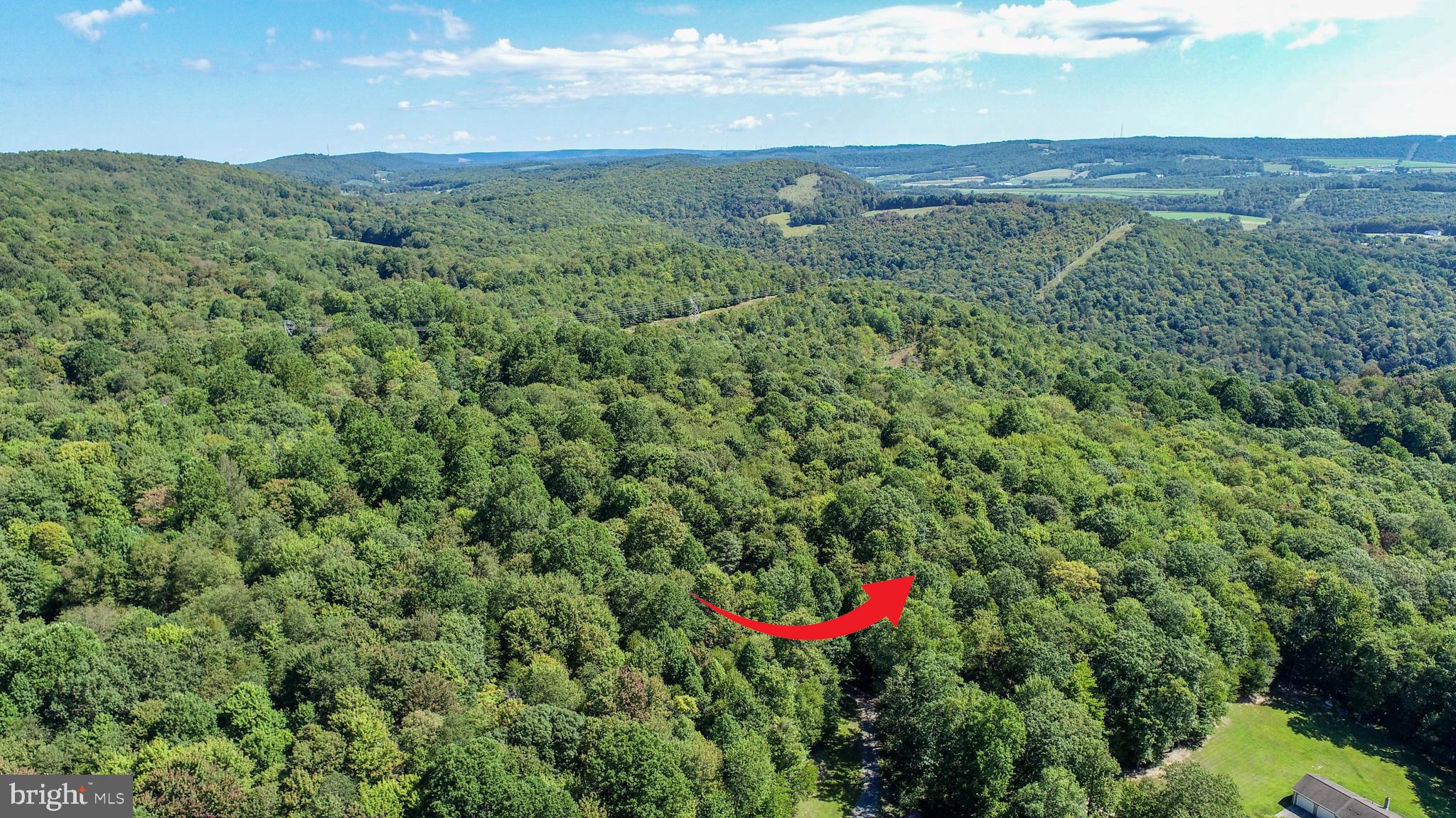 Lot 11 Turkey Run Road Accident, MD 21520 - Photo 7 of 29