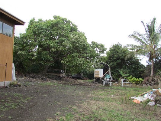 88-2512 Milolii Road Captain Cook, HI 96704 - Photo 12 of 24 a view of a park with large trees