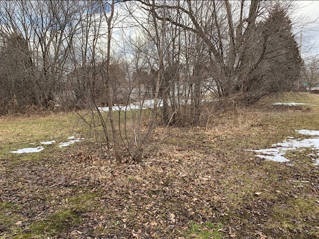 0 Anita Avenue Antioch, IL 60002 - Photo 2 of 2 a view of mountain view