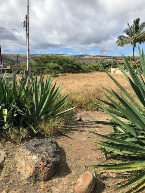 1 Mamo Road, Unit 1 Kekaha, HI 96752 - Photo 1 of 12 Gallery Image 1