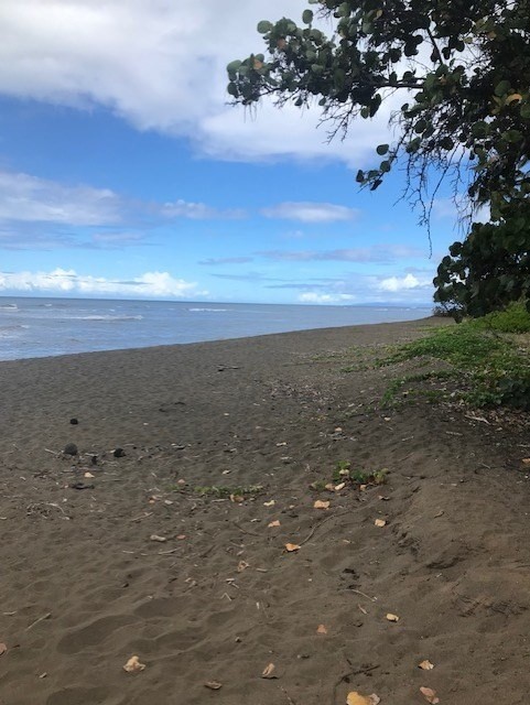 1 Mamo Road, Unit 1 Kekaha, HI 96752 - Photo 11 of 12 Gallery Image 11